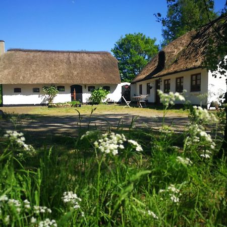 Albergue Gemuetliches Reetdachhaus Mit Kaminofen Ribe Exterior foto